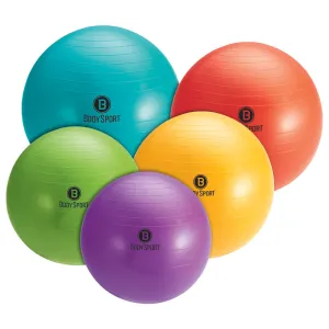 BodySport&reg; Fitness Balls with Pump